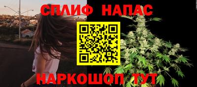 бошки Дубна