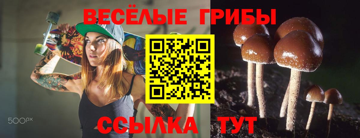 Псилоцибиновые грибы MAGIC MUSHROOMS  купить наркотики цена  Луховицы  Вход с VPN 